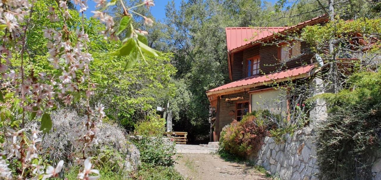 Casa De Montana Inmersa En Bosque Nativo ซานโคเซ เด ไมย์โป ภายนอก รูปภาพ